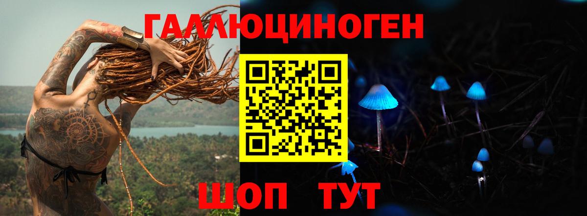 Галлюциногенные грибы мицелий Новозыбков