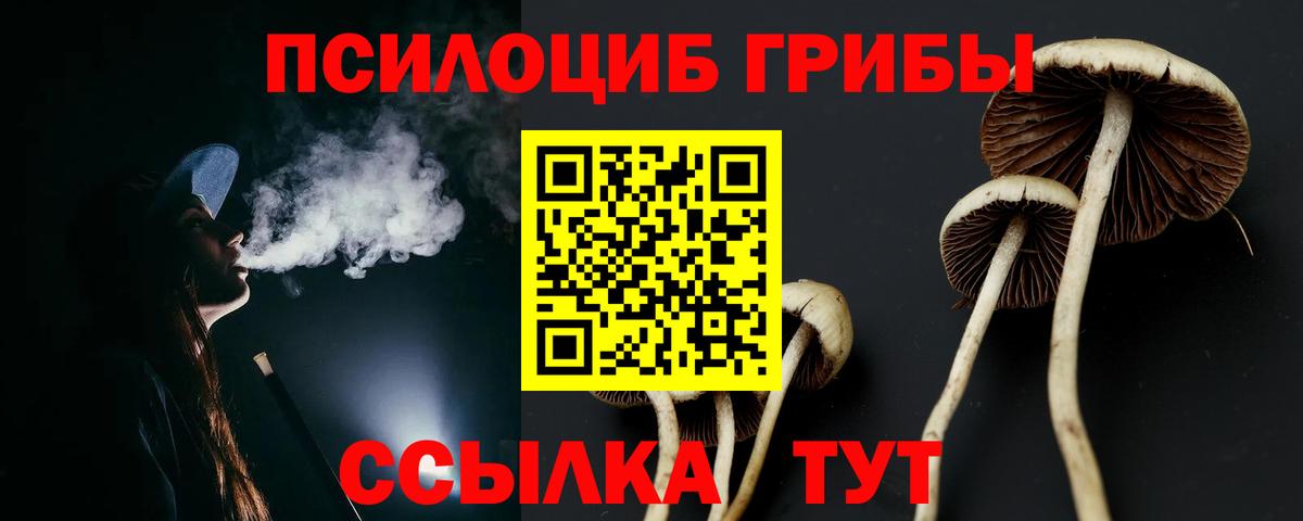 Псилоцибиновые грибы Psilocybe  Вход с VPN  наркошоп  Новозыбков 