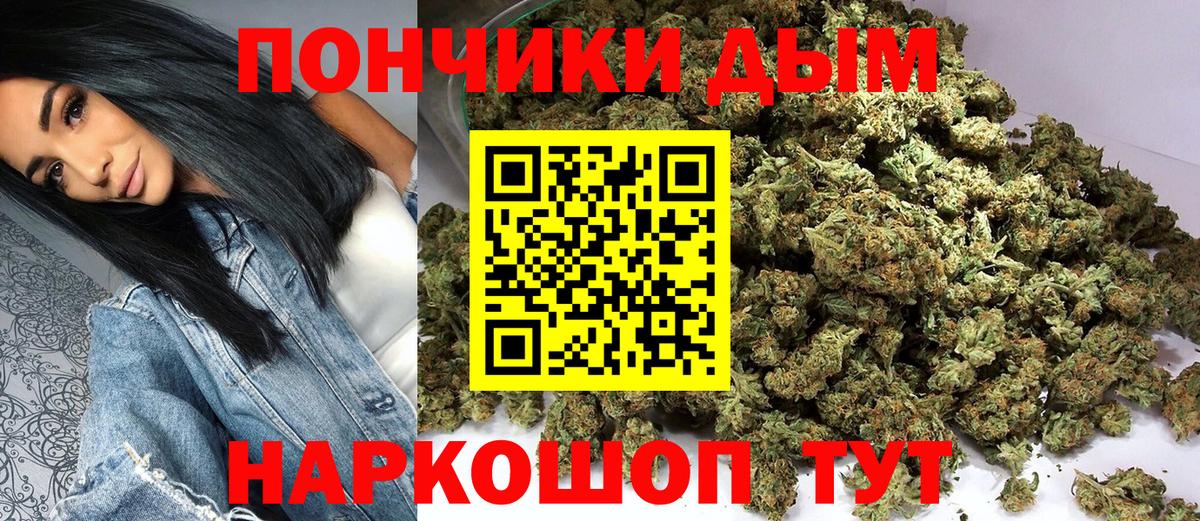 Шишки марихуана планчик Новозыбков